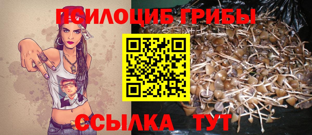 Ипатово  Галлюциногенные грибы ЛСД  Вход с VPN  Псилоцибиновые грибы GOLDEN TEACHER 