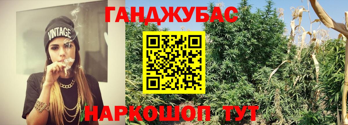 Шишки марихуана планчик  Шишки марихуана планчик  Канабис OG Kush  Ипатово  Конопля OG Kush  Вход с VPN 